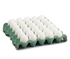 Maple de Huevo Nro 1